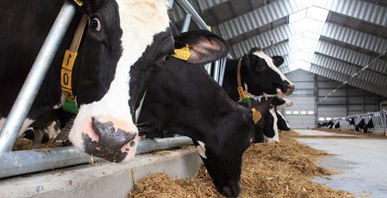 Lagerhall som løfter drift og logistikk